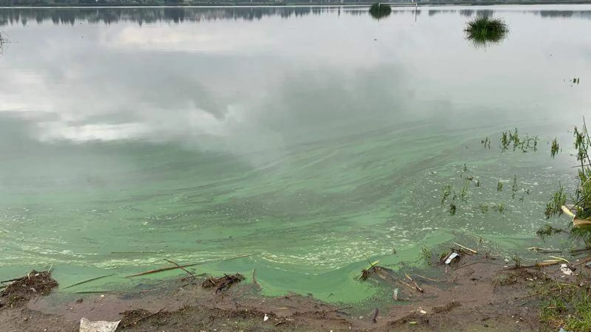 Laguna de Acuitlapilco